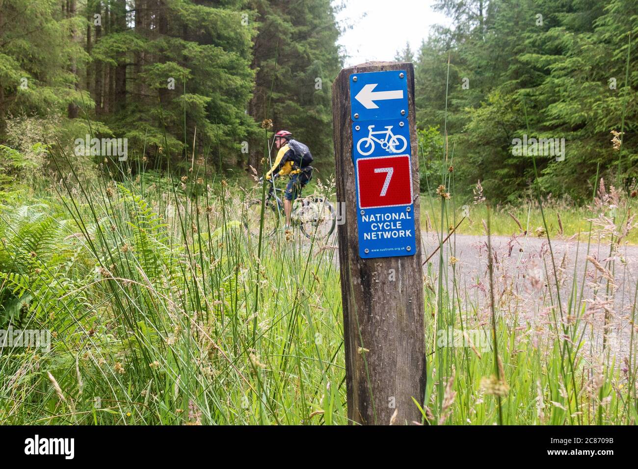 Ciclista passando National Cycle Network 7 segno in Queen Elizabeth Forest Park, Loch Lomond e il Trossachs National Park, Aberfoyle, Scozia, Regno Unito Foto Stock