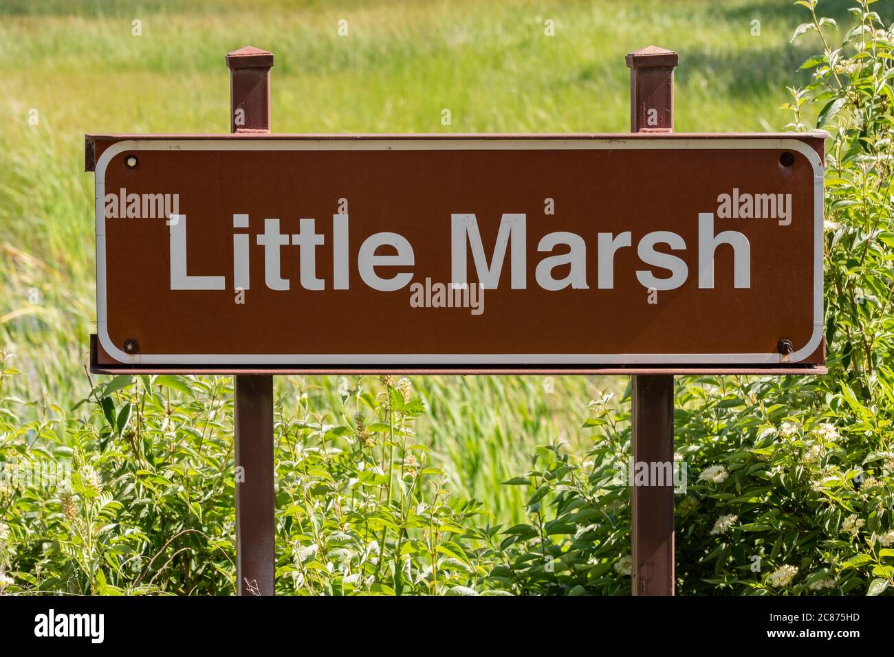 Una palude chiamata Little Marsh nel parco statale Great Salt Plains nel nord dell'Oklahoma durante l'inizio dell'estate, USA. Foto Stock