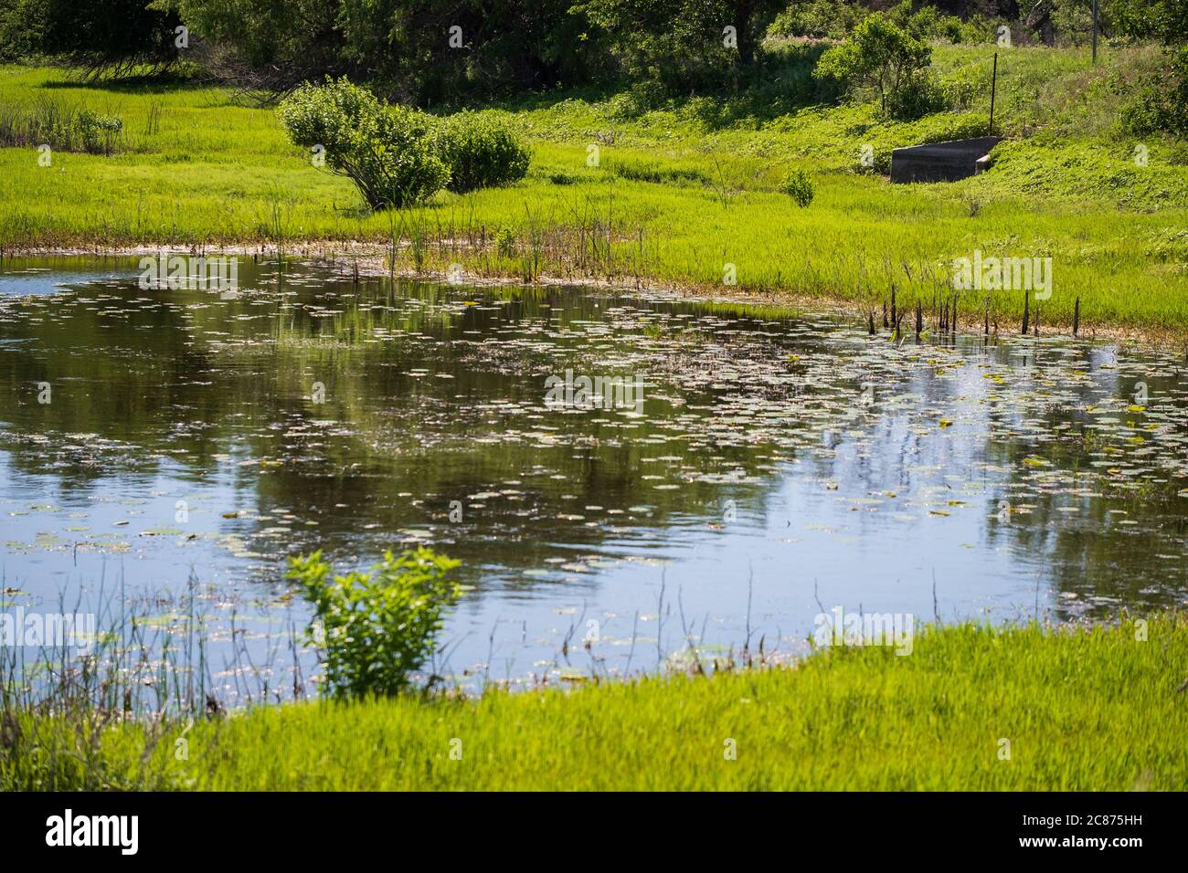 Il Mink Run Marsh, un rifugio naturale situato nel parco statale Great Salt Plains, nel nord dell'Oklahoma, USA, durante l'estate. Foto Stock