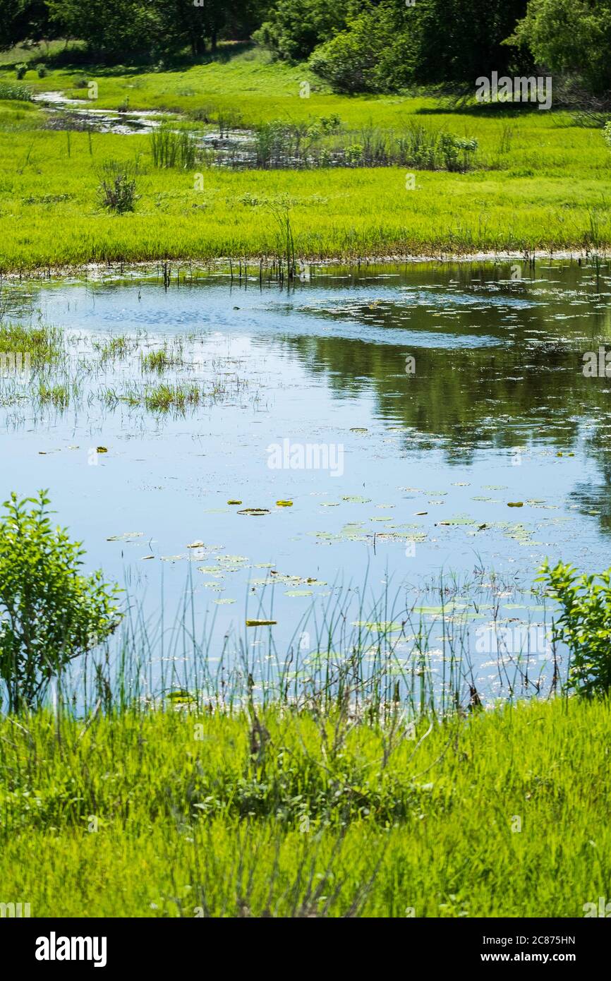 Il Mink Run Marsh, un rifugio naturale situato nel parco statale Great Salt Plains, nel nord dell'Oklahoma, USA, durante l'estate. Foto Stock