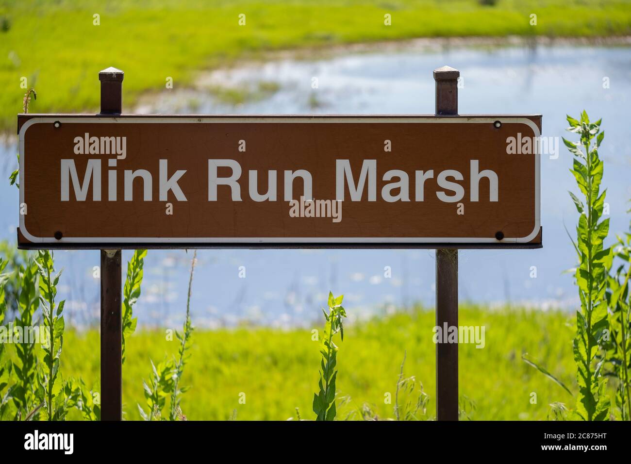 Una palude chiamata Mink Run Marsh nel parco statale Great Salt Plains nel nord dell'Oklahoma durante l'inizio dell'estate, USA. Foto Stock