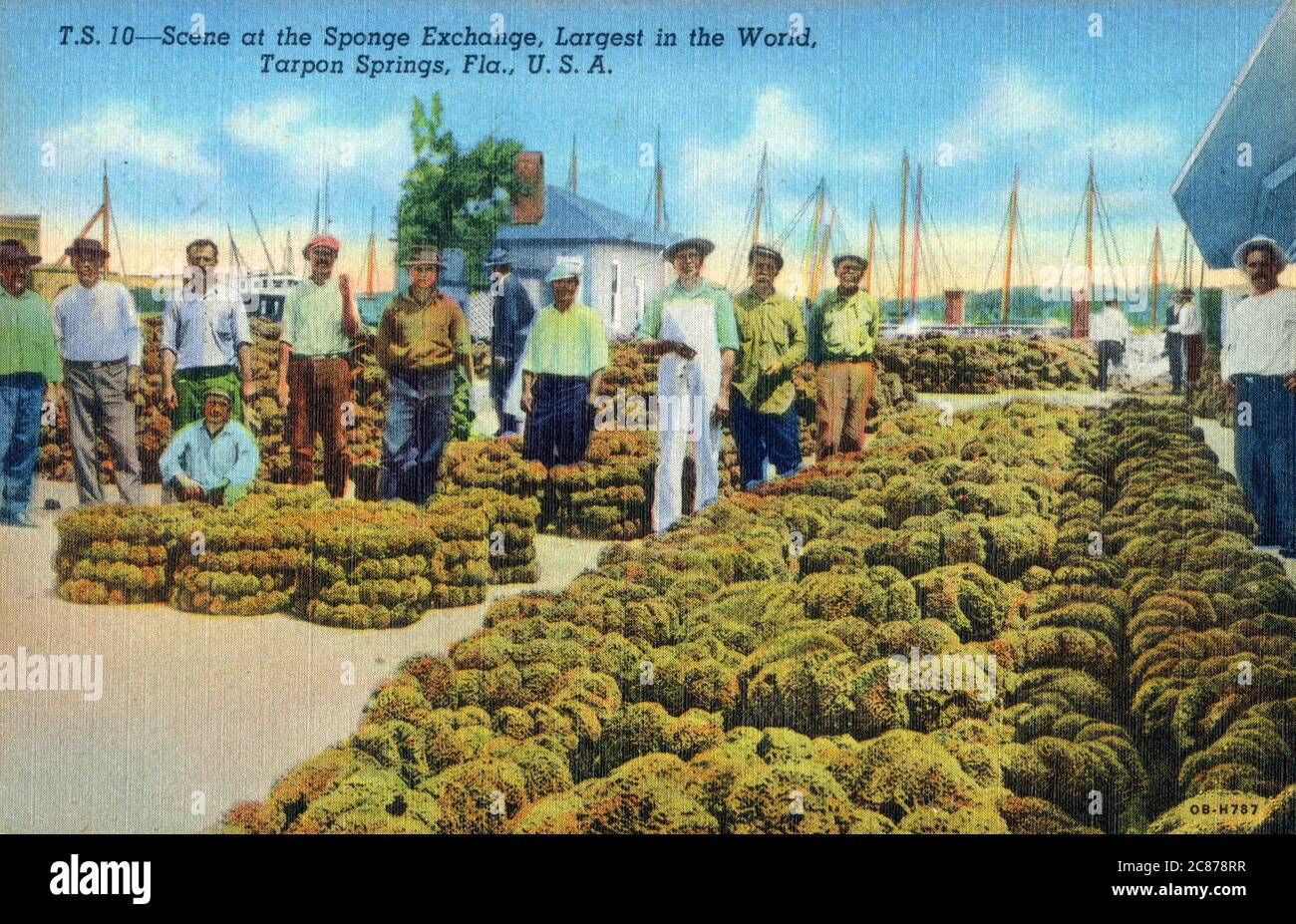 Scena allo Sponge Exchange, il più grande al mondo a Tarpon Springs, Florida, Stati Uniti. Foto Stock