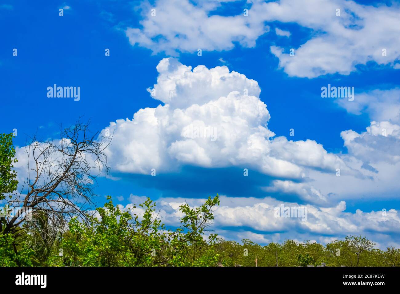 Cielo blu cristallino con nuvola bianca splendida vista Foto Stock