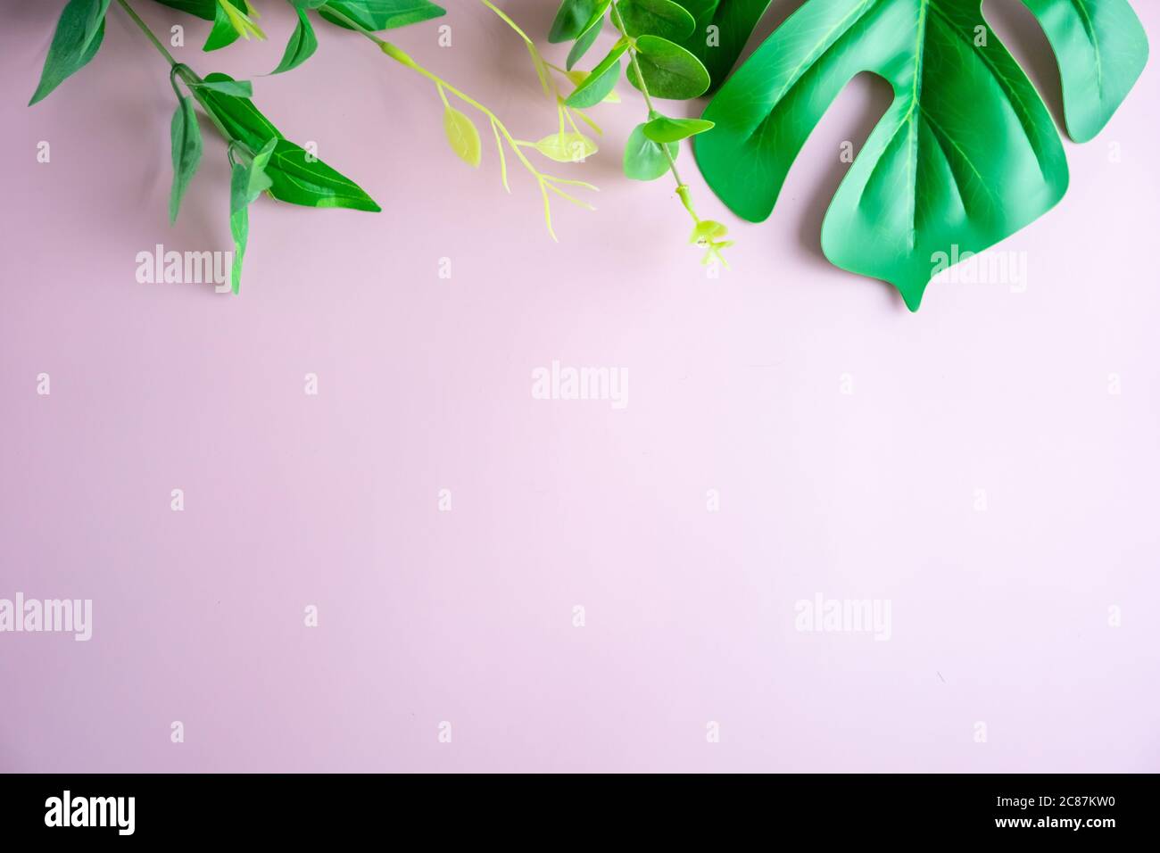 Vista dall'alto della verde natura tropicale foglia su rosa pastello stile vintage tono astratto sfondo con spazio copia. Foto Stock