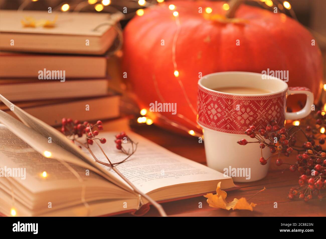 Autunno books.Autumn reading.Stack accogliente di libri, zucche hokkaido rosso con ghiaia, sciarpa a scacchi, pagine del libro primo piano su un tavolo di legno. Foto Stock