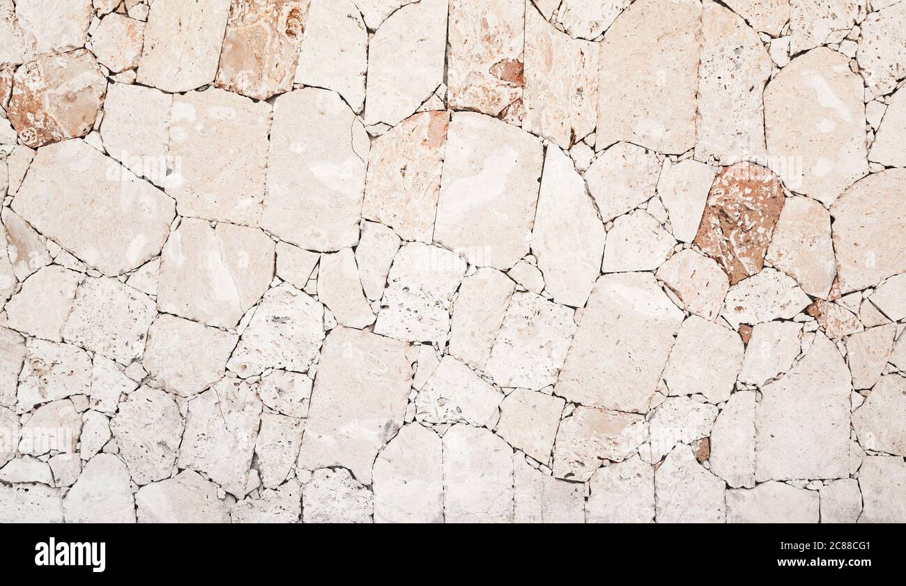 Muro di pietra calcarea shelly, è una pietra altamente fossilifera, composta da un certo numero di organismi fossili. Texture di sfondo, vista frontale Foto Stock