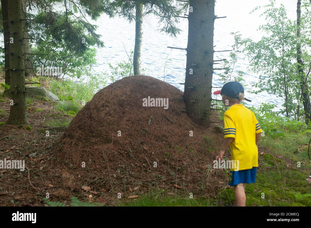 Famiglia, bambino, un gruppo di persone, padre, madre, umana società, di nascita, di matrimonio, collettivamente, elettrodomestico, membro, proprietà, parenti, genitori, fratelli Foto Stock