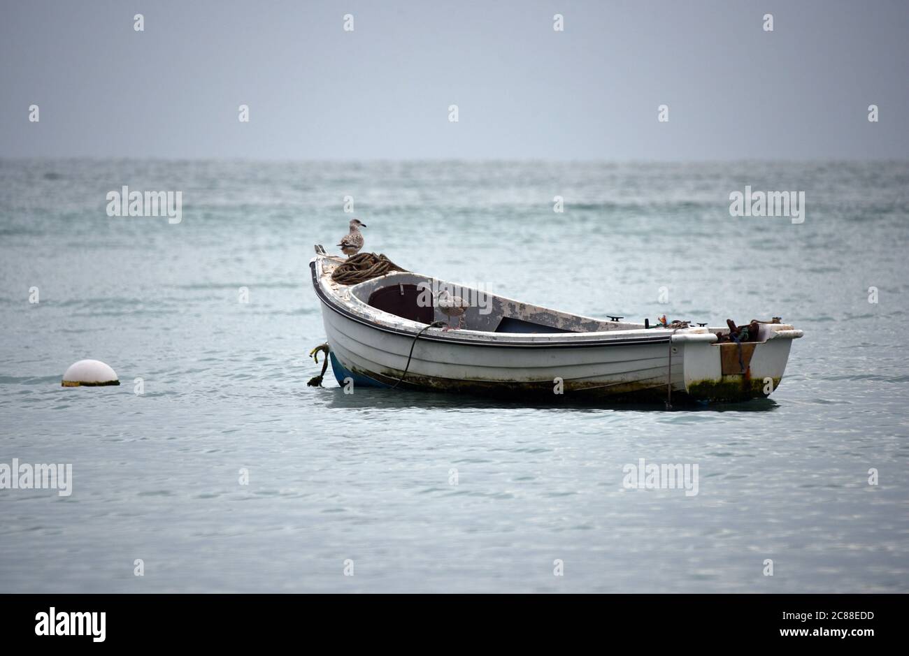 Un gabbiano si trova di fronte ad una piccola barca A riposo su un mare tranquillo in Dorset Foto Stock