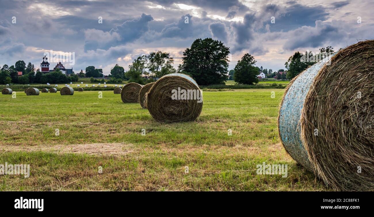 Tramonto sul paesaggio svedese con l'erba arrotolata nei campi con cui lavorano i contadini nel mese di luglio Foto Stock