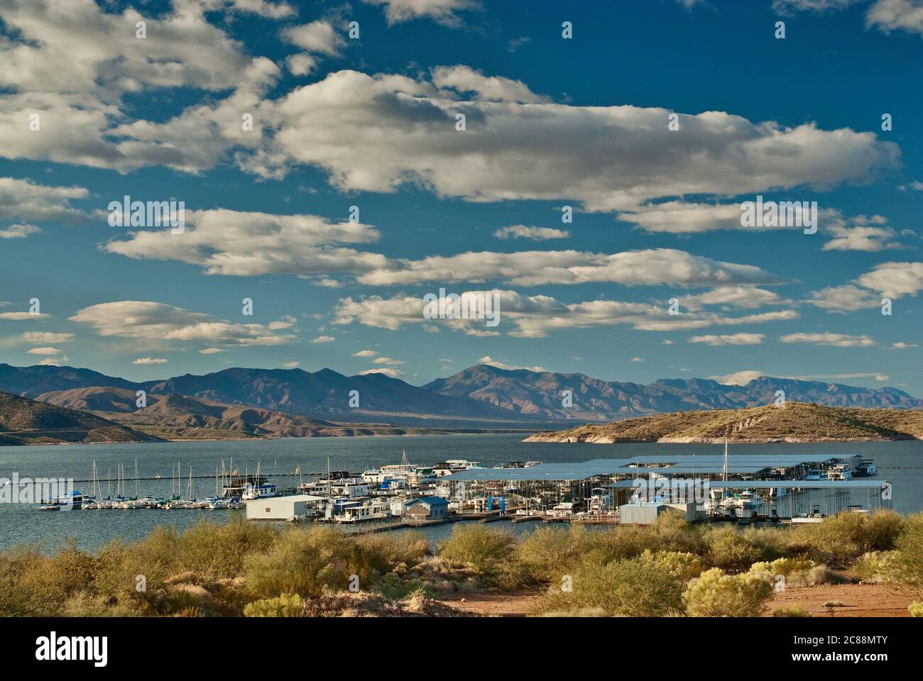 Marina presso il lago Theodore Roosevelt, deserto di sonora, vicino al monumento nazionale Tonto, Arizona, Stati Uniti Foto Stock