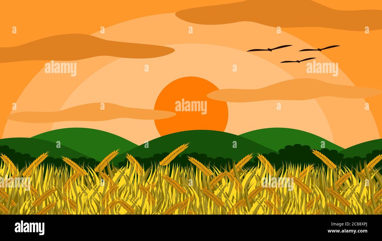 Illustrazione vettoriale di un campo di riso con grani di riso pronti per l'accumulo. Oltre, ts e qui sono treemountains. Al tramonto, l'atmosfera è buona Illustrazione Vettoriale