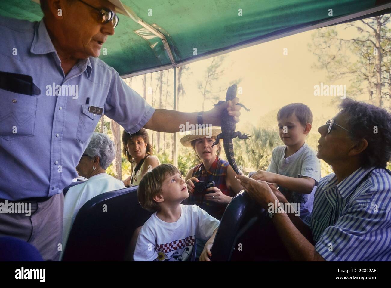 Guida turistica con un alligatore. Avventure nella natura selvaggia di Babcock. Tour Eco Babcock Ranch, Punta Gorda. Fort Myers. Florida. STATI UNITI Foto Stock