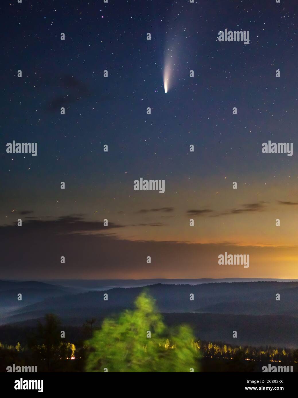 Neoswise cometa nel cielo stellato sopra la foresta con la città si illumina sullo sfondo Foto Stock