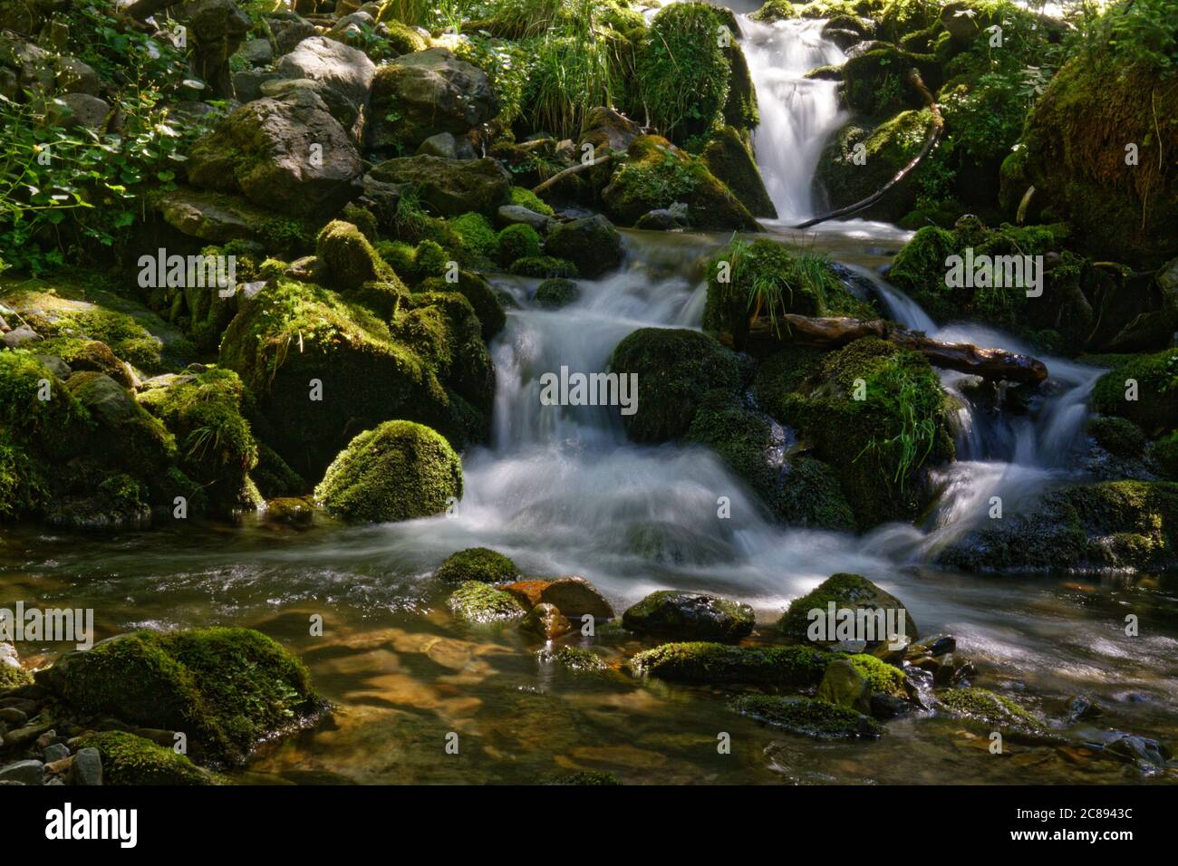 Piccola cascata in una foresta di Belledonne Foto Stock