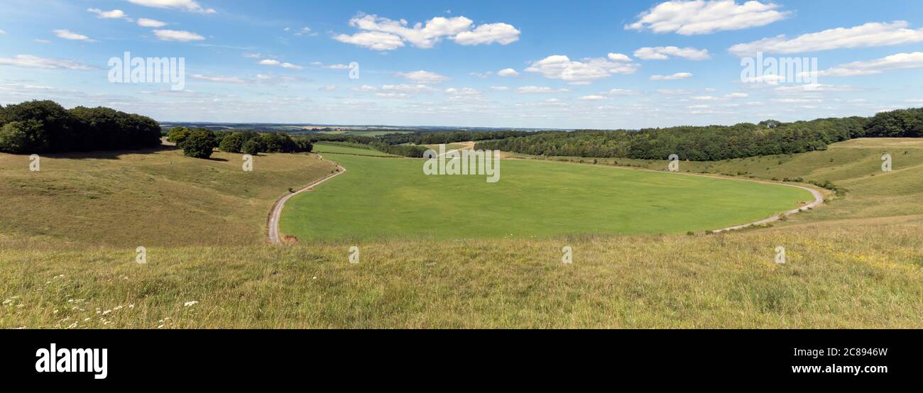 Vista panoramica di Cheesefoot Head verso Temple Valley, Winchester, Hampshire, Inghilterra, Regno Unito Foto Stock