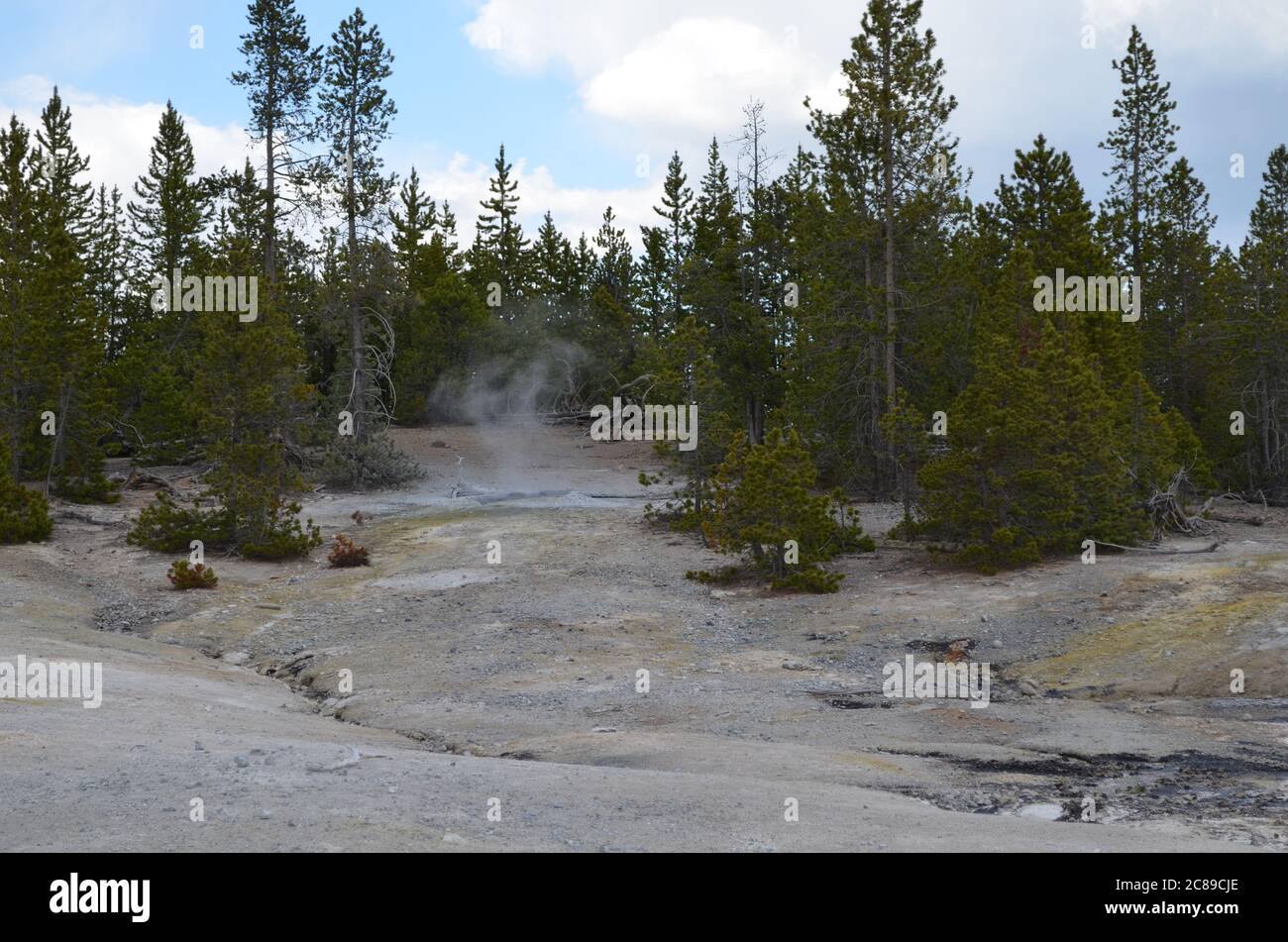 Tarda primavera nel Parco Nazionale di Yellowstone: Vapore Plume dal Dr. Allen's Paint Pots nella zona Back Basin del Norris Geyser Basin Foto Stock
