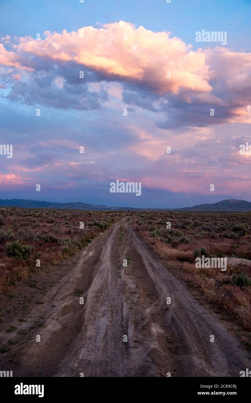 Strada sterrata e ghiaiata che attraversa il deserto del Nevada settentrionale sotto uno spettacolare cielo rosa al tramonto Foto Stock