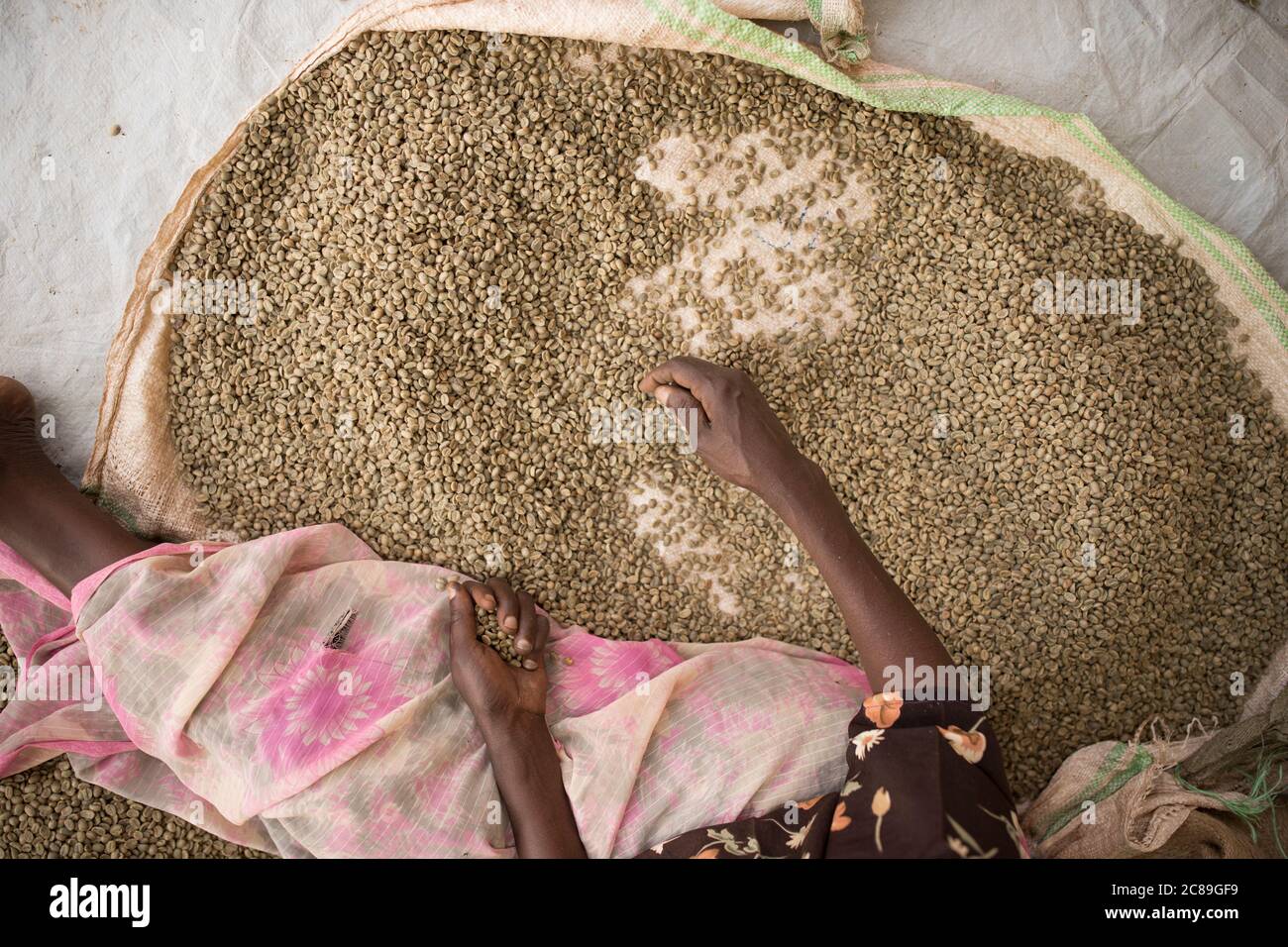 I lavoratori controllano la qualità dei chicchi di caffè secchi presso un magazzino cooperativo di caffè degli agricoltori a Mbale, Uganda, Africa orientale. Foto Stock