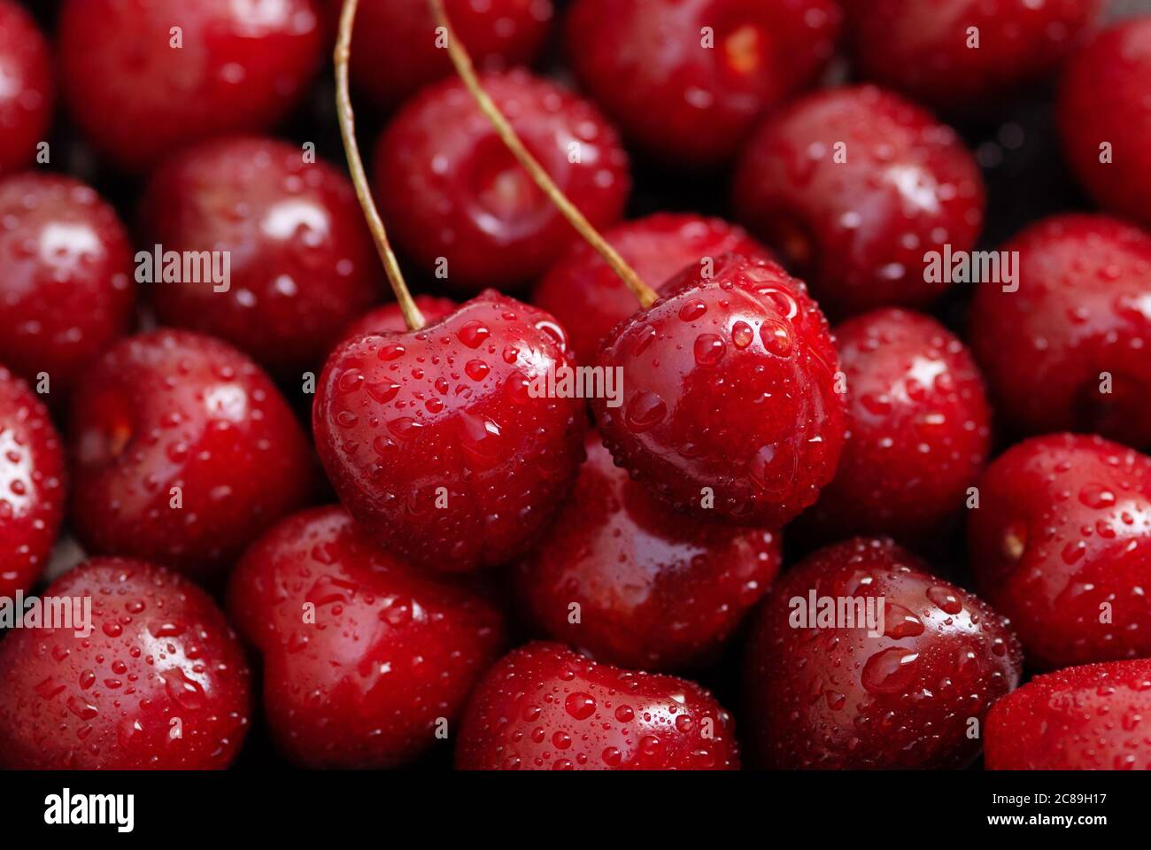 fondo di frutti di ciliegia rosso brillante, due ciliegie sulla parte superiore Foto Stock