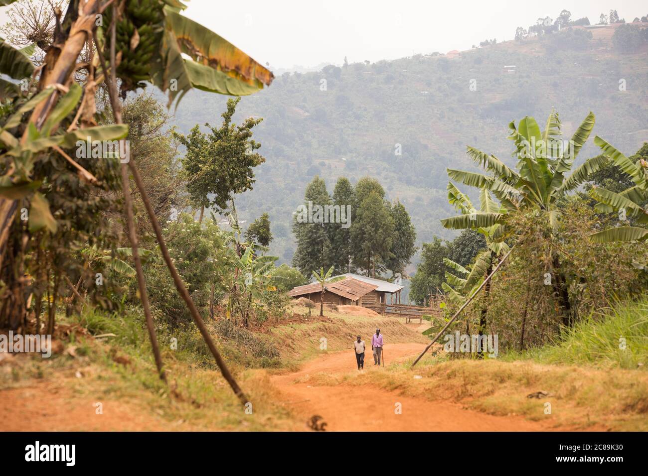 Splendido scenario drammatico di comunità agricole ai piedi del Monte Elgon, nell'Uganda orientale. Foto Stock