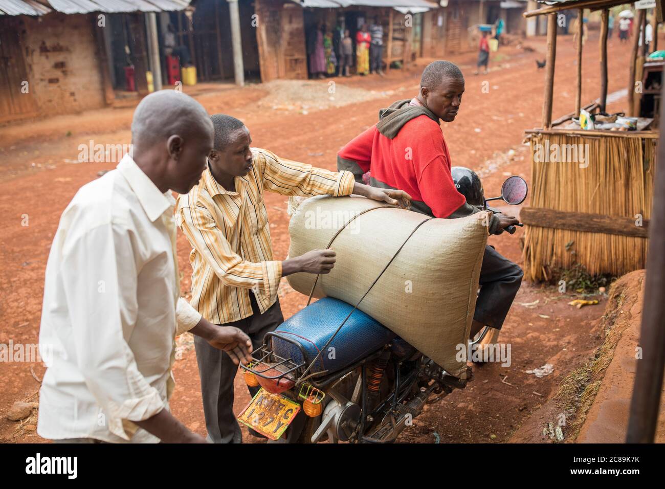 Il caffè fresco proveniente dal campo viene caricato da una motocicletta presso una cooperativa di coltivatori di caffè del Monte Elgon in Uganda, Africa orientale. Foto Stock