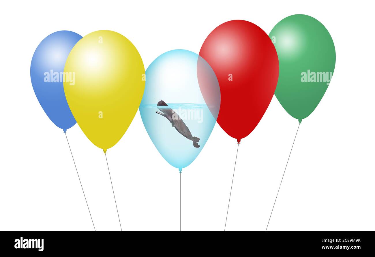 Una balena di sperma è vista all'interno di un pallone insieme ad altri palloncini di partito in un'illustrazione circa il rilascio di palloncini di elio uccide i mammiferi marini. Isolato Foto Stock