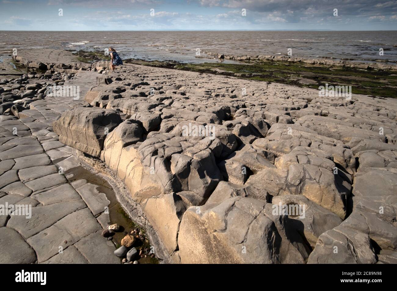 Kilve Beach, Somerset, Regno Unito, nota per i suoi fossili, le formazioni geologiche e i depositi di petrolio di scisto, che sono stati sfruttati commercialmente negli anni '20. Foto Stock