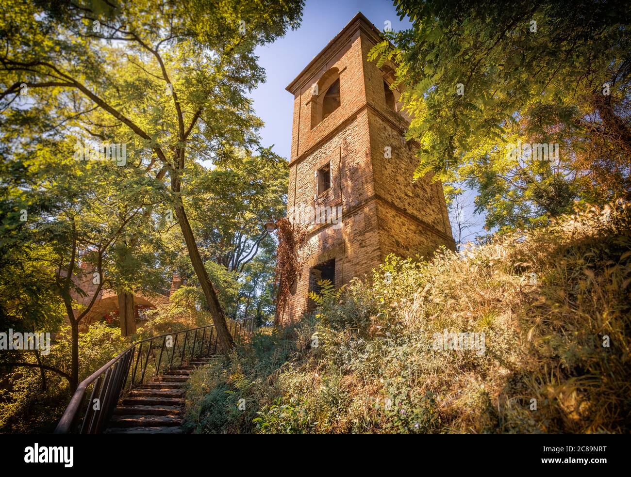 torre nel bosco in italia fotografia di fondo - Monteveglio - Bologna Foto Stock