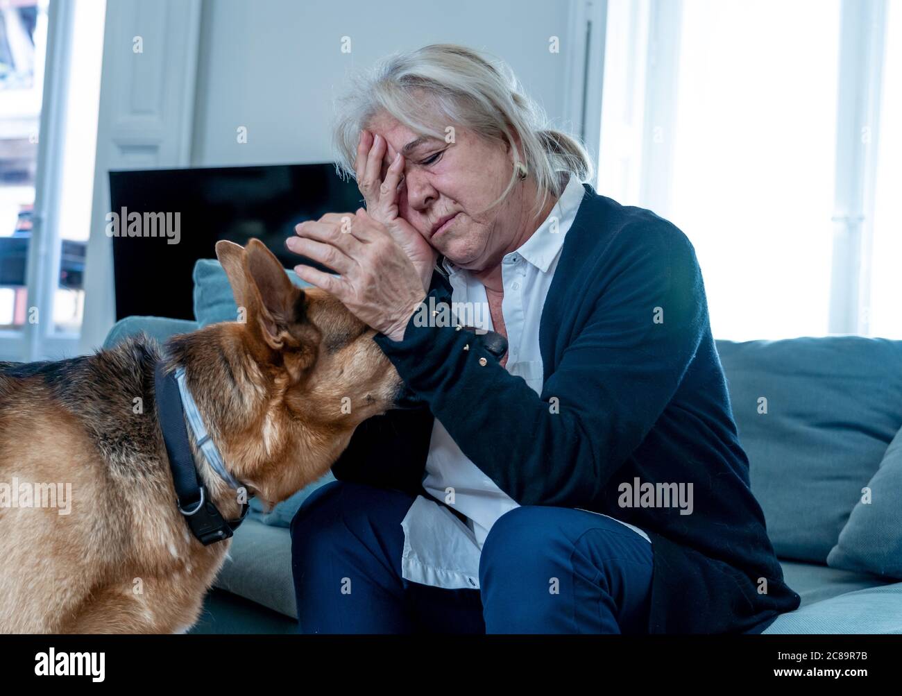 Depressa anziana donna piangendo sul divano con cane da compagnia come solo compagno. Vedovo triste e stanco tra la pandemia COVID-19. Morte di coronavirus, blocco, Foto Stock