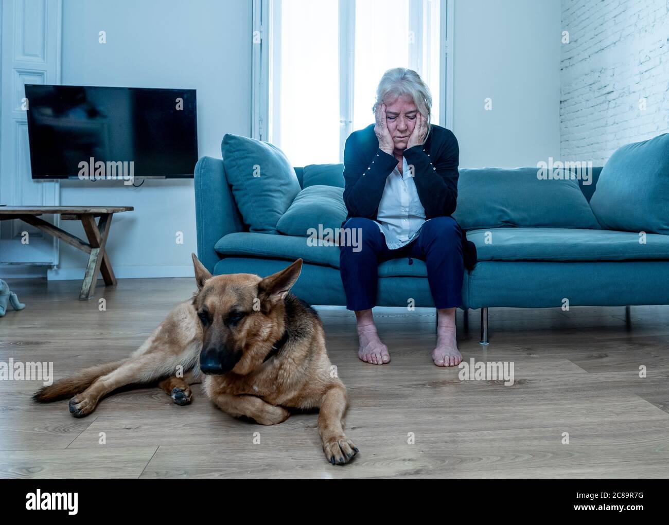 Depressa anziana donna piangendo sul divano con cane da compagnia come solo compagno. Vedovo triste e stanco tra la pandemia COVID-19. Morte di coronavirus, blocco, Foto Stock