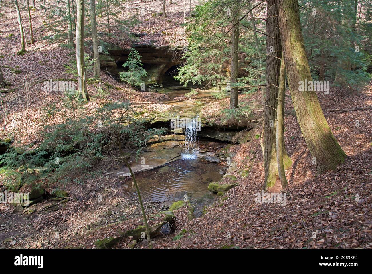 Cascata e arco al Mammoth Cave National Park, Kentucky. Foto Stock