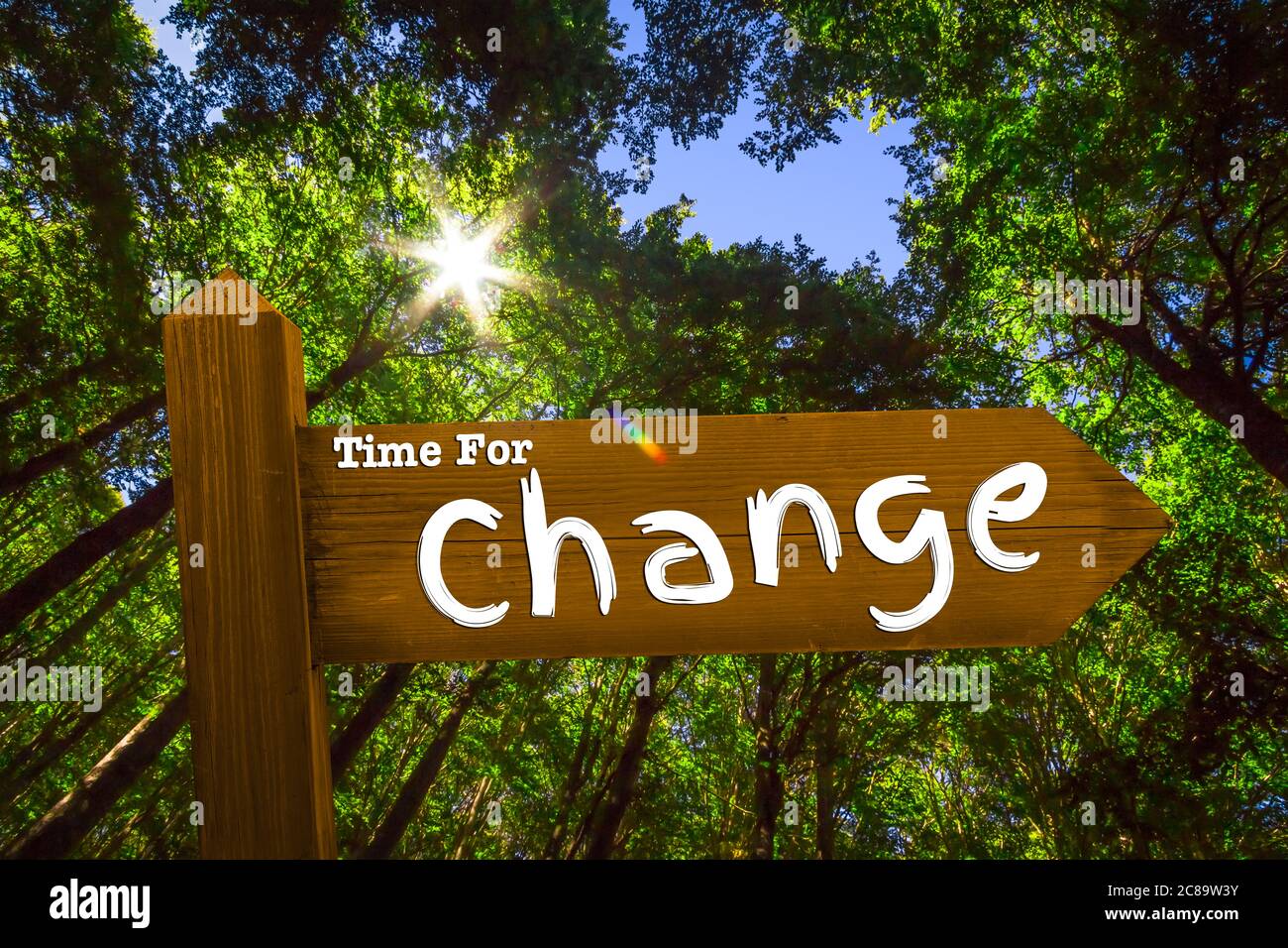 Singpost con le parole Time for Change nel mezzo di una foresta retroilluminata dal sole Foto Stock