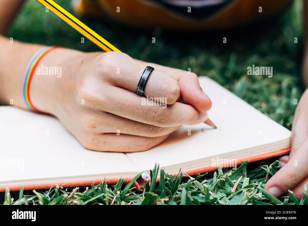 Un disegno a mano con matita sul taccuino sull'erba. Foto Stock