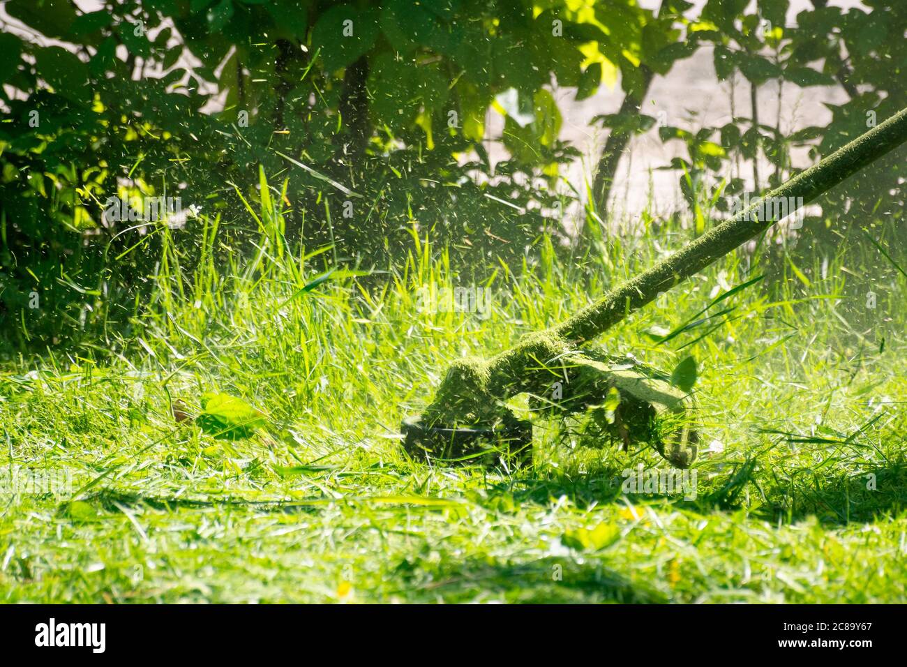 Immagine ravvicinata di benzina testa di taglio con nylon linea il taglio fresco verde erba a piccoli pezzi Foto Stock