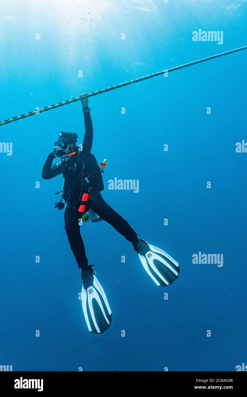 Subacqueo che tiene in corda durante i tre minuti obbligatori arresto di sicurezza Foto Stock