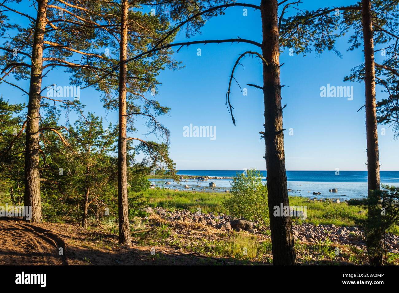 Una splendida vista dalla foresta al lago. Foto Stock