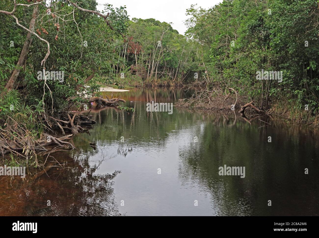 Vista lungo il fiume Inirida fiume, Colombia Foto Stock