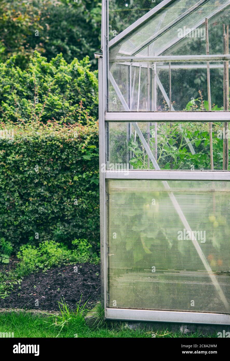 Serra in un giardino in Inghilterra, Regno Unito Foto Stock