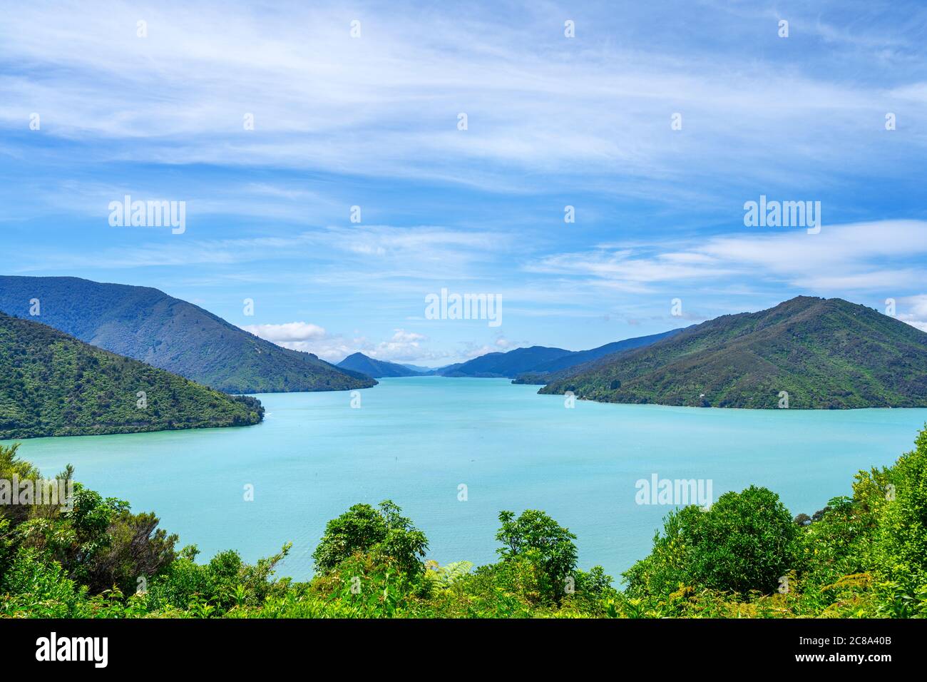 Vista sul Pelorus Sound dalla Cullen Point Scenic Reserve, Marlborough Sounds, South Island, Nuova Zelanda Foto Stock