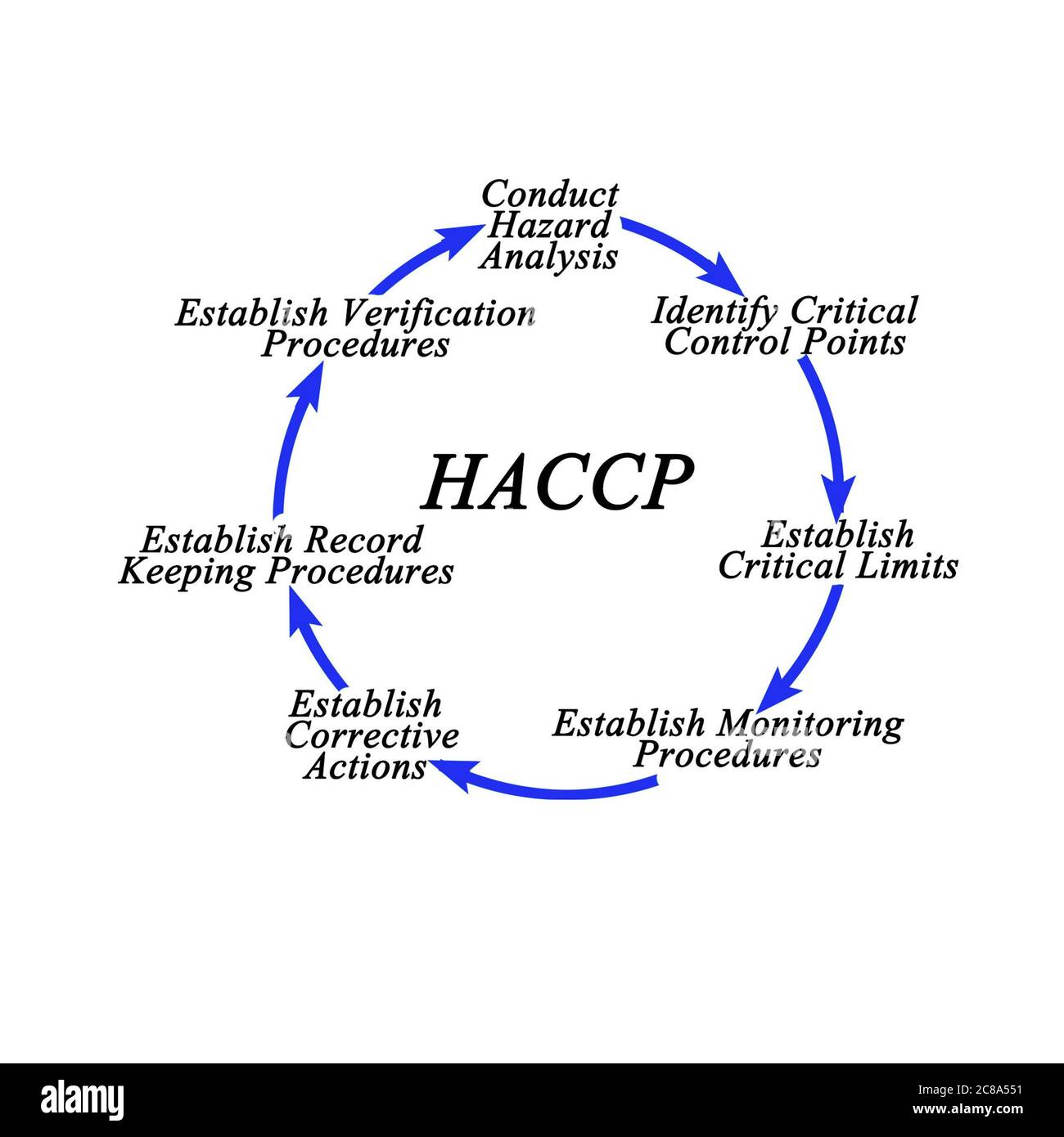 Sette fasi del ciclo di implementazione HACCP Foto Stock