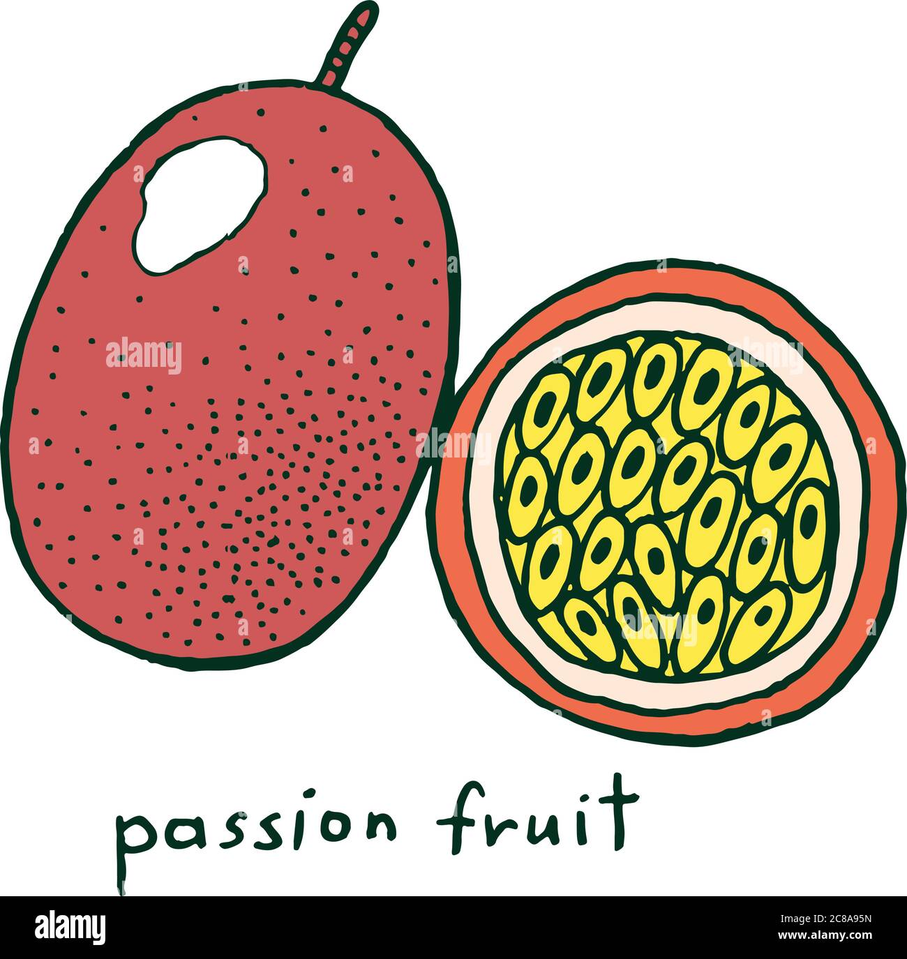 Pagina di colorazione di frutta di passione. Vettore grafico doodle art colorato per colorare libri per adulti Illustrazione Vettoriale