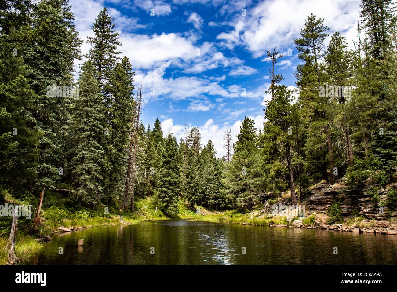 Il retro del lago Woods Canyon, sul Mogollon Rim, nell'Arizona settentrionale, in una mattinata leggermente nuvolosa durante la stagione estiva del monsone. Foto Stock