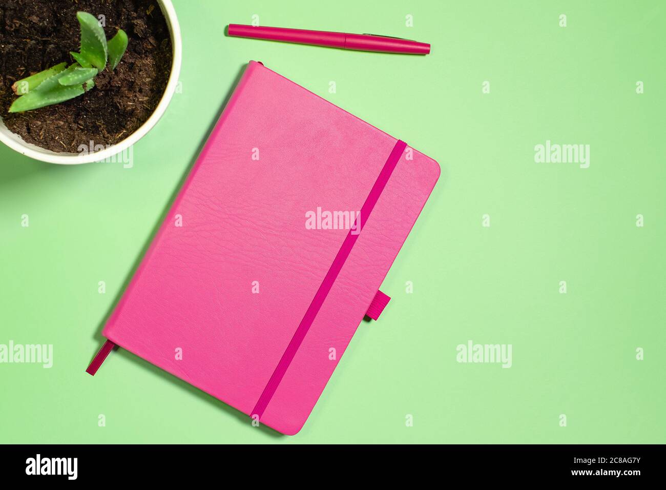 Piatto con taccuino rosa e penna con pianta di aloe su sfondo verde pastello Foto Stock