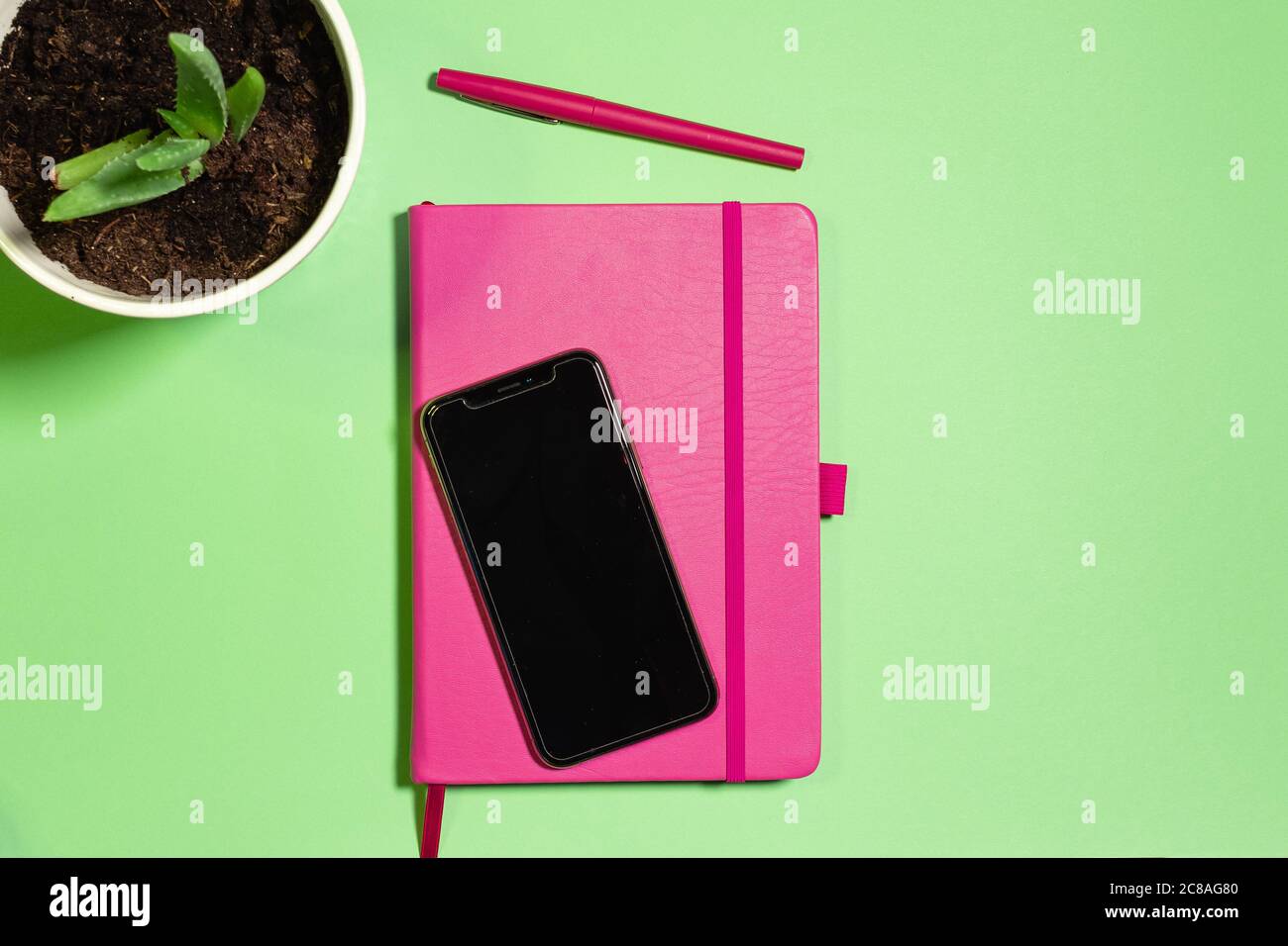 Piatto con notebook rosa, telefono e penna con pianta di aloe su sfondo verde pastello Foto Stock