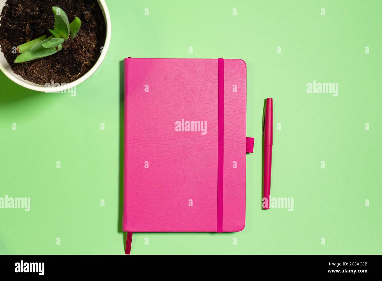 Piatto con notebook rosa e penna con pianta di aloe su sfondo verde pastello, concetto di lavoro o creatività Foto Stock