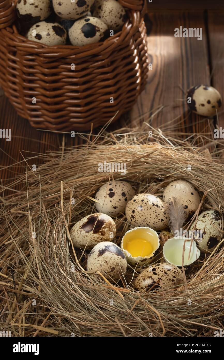 Diverse uova di quaglia in un nido decorativo di paglia e in un cesto su un tavolo di legno, immagine verticale, flatlay Foto Stock