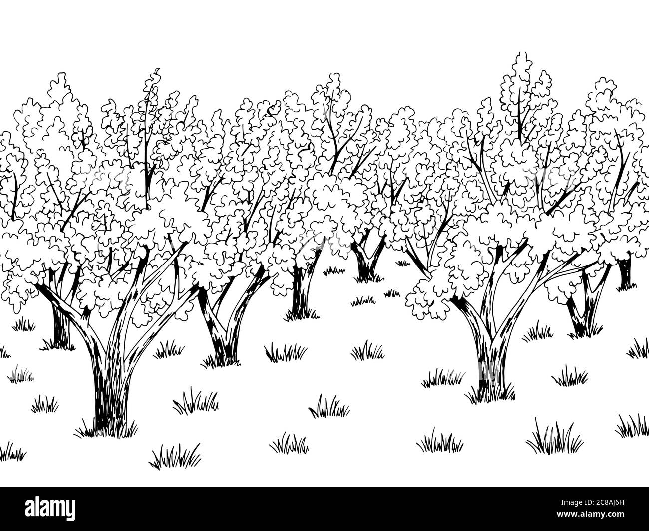 Grafico giardino Apple grafico bianco nero disegno paesaggio vettore illustrazione Illustrazione Vettoriale Grafico giardino Apple grafico bianco nero disegno paesaggio vettore illustrazione Illustrazione Vettoriale