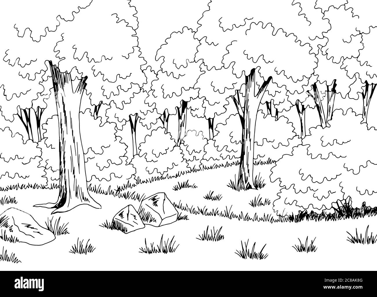 Forest glade grafico bianco nero disegno paesaggio vettore illustrazione Illustrazione Vettoriale