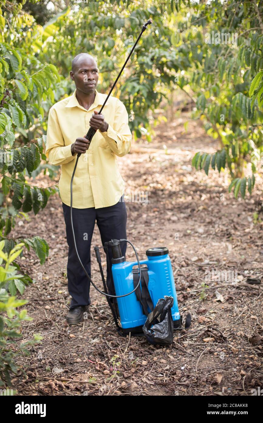 Un piccolo agricoltore gestisce un'irroratrice di pesticidi a zaino in una fattoria di caffè nel distretto di Kyotera, Uganda, Africa orientale. Foto Stock