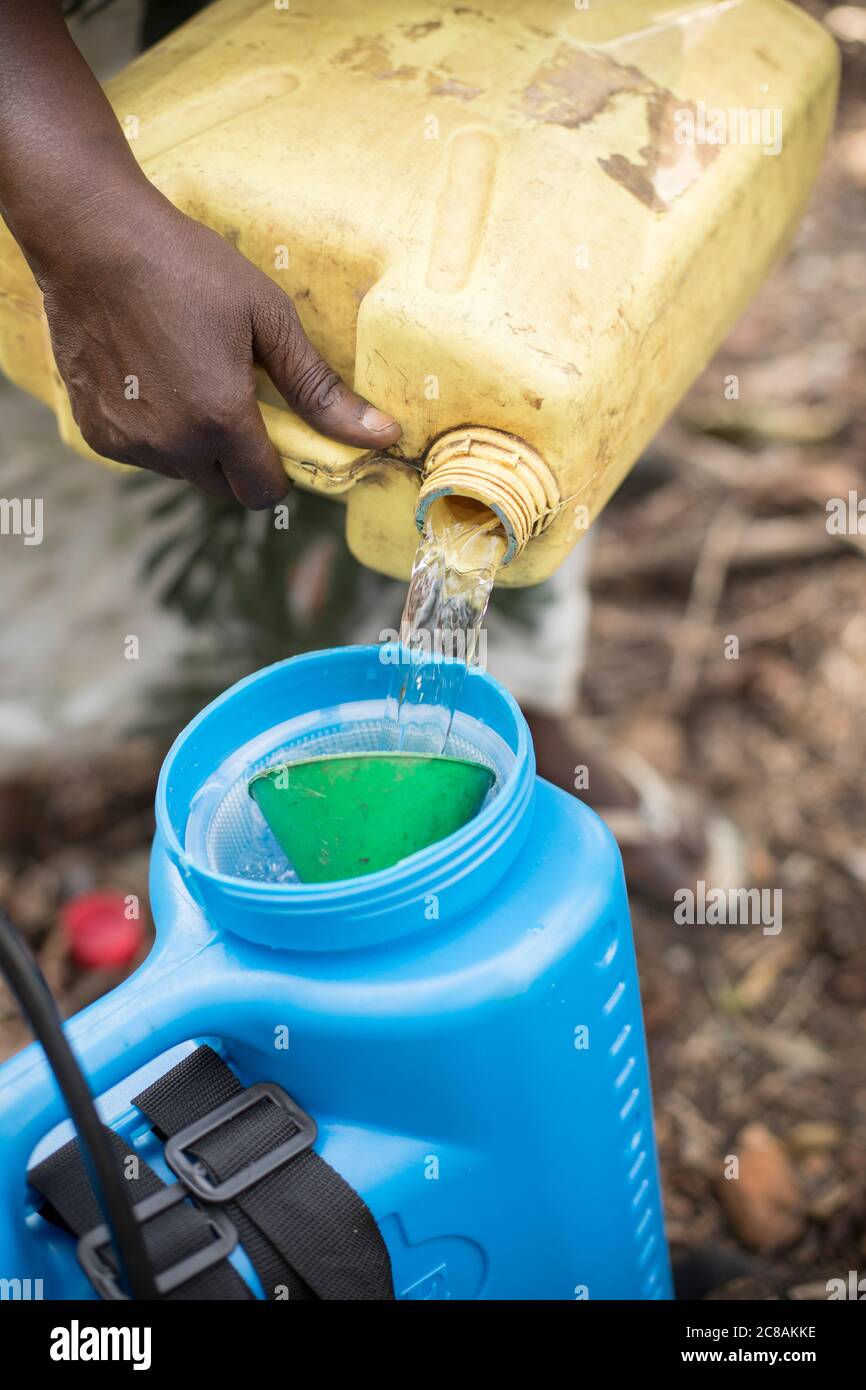 Un piccolo agricoltore prepara un pesticida chimico per l'applicazione nella sua azienda agricola nel distretto di Kyotera, Uganda, Africa orientale. Foto Stock